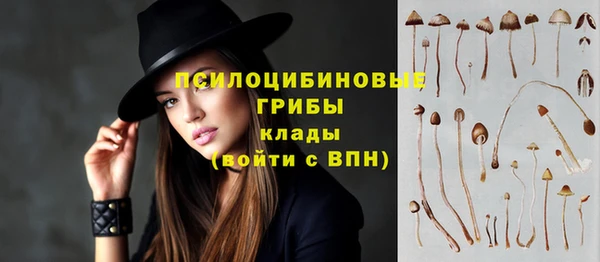 молекула духа Нязепетровск