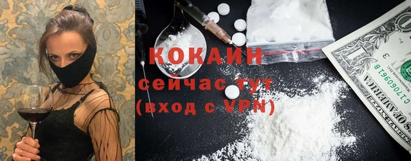 мяу мяу кристалл Няндома
