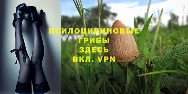 мяу мяу кристалл Няндома